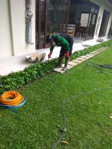 Jasa Anti Rayap
