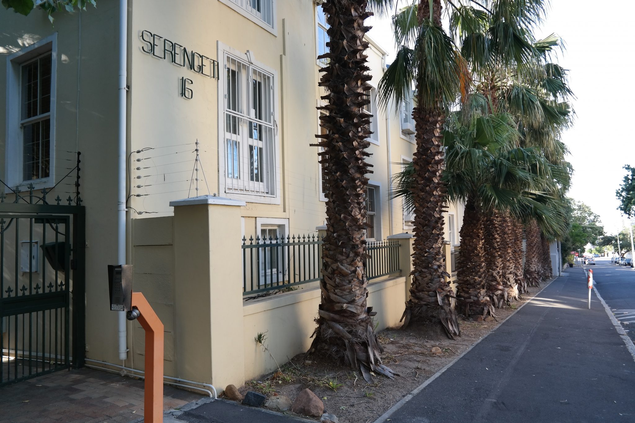 502 Serengeti thumbnail 10