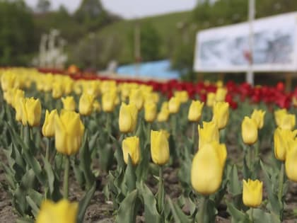 Насыщенная программа подготовлена в Находке в преддверии праздника весны и красоты