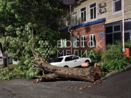 Тропических дождей в Приморье станет больше? — названа причина