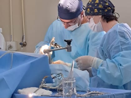 Безопасность на дорогах: акция в Лобне