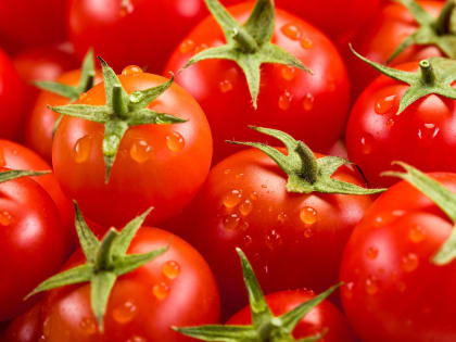 В Приморье пройдет фестиваль томатов