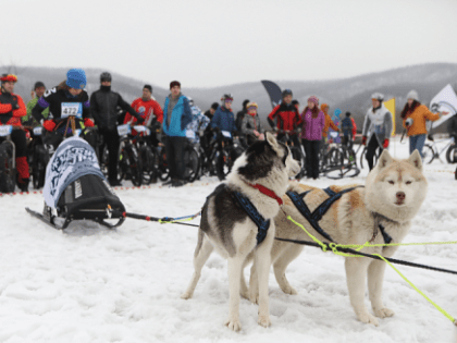 Приморье призывает к активному участию в жизни региона