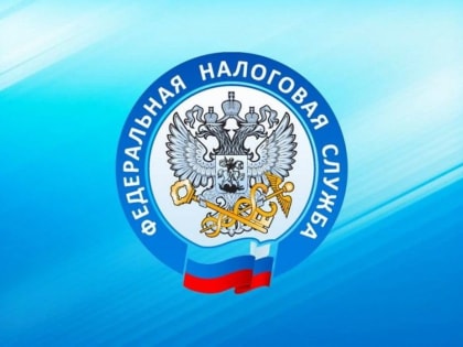 Сотни приморцев посетили налоговые органы края в День открытых дверей