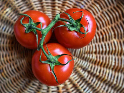 Пять полезных свойств помидоров