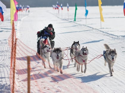 Good boys racing: приморские каюры разыграли награды чемпионата и первенства Приморского края по ездовому спорту