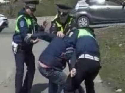 Пьяный приморец попытался убежать от полицейских, а затем устроил драку