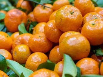 Осторожно, мандарины: возможные аллергические реакции