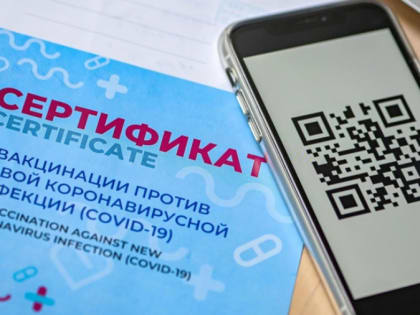 В Хабаровске подали коллективный иск против QR-кодов