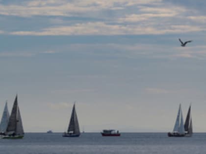 Влажность воздуха во Владивостоке приблизится к 100% на этой неделе