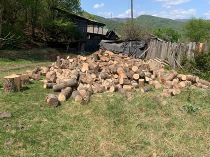 Штаб #МыВместе