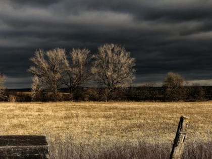 «Готовьтесь к тихому ужасу с 19 июня». Синоптики резко изменили прогноз на неделю