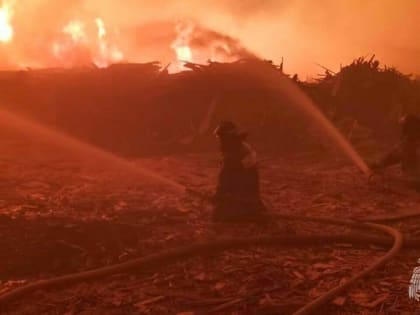 Боролись три дня: в Приморье потушили мощный пожар рядом с пилорамой