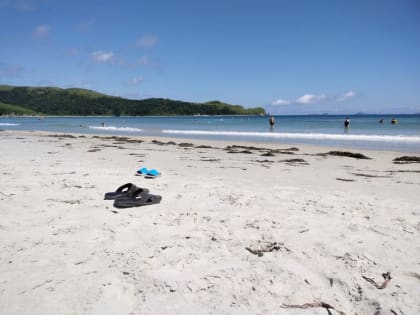 Пошла жара: температура воздуха в Приморье превышает норму