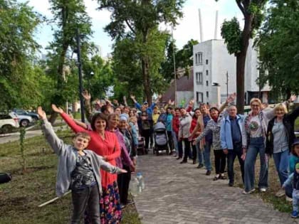 Но женьшень там не растёт: новая аллея появилась во Владивостоке