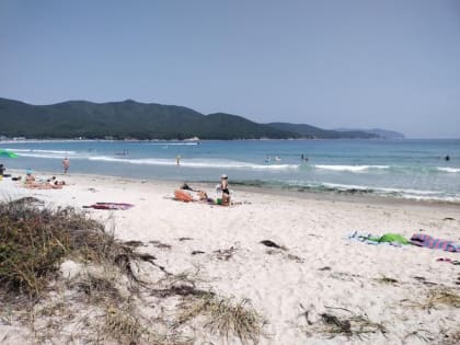 Врачи предупреждают о рисках галофилеза в Приморье