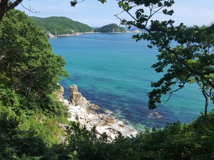 Картина дня в Приморье: сгоревшие автобусы, «спортивный» скандал и штормовое