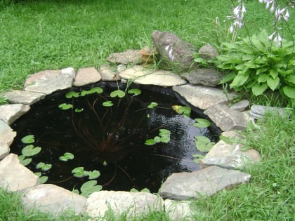 «Вам пора освежиться»: 10 способов вернуть телу прохладу посоветовали приморцам