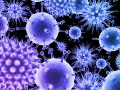 Гонконгский грипп и микоплазменная пневмония: вирусы и бактерии атаковали приморцев
