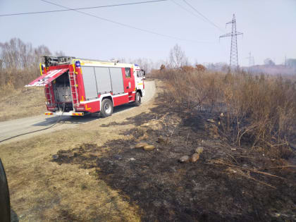 Пожар на городском кладбище ликвидирован