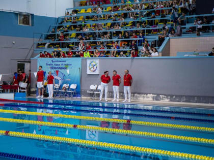 Более 500 пловцов приняли участие в краевых детских соревнованиях «Дельфиненок»