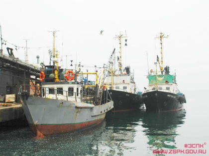 В Приморье средняя начисленная зарплата рыбаков выросла до 135,6 тысячи рублей