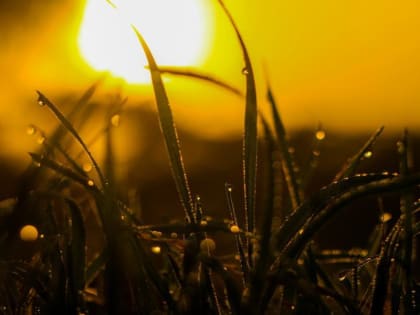 «Весь август будет аномальным». Синоптики дали новый прогноз на конец лета