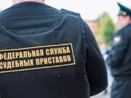 Светлана Орлова: исполнение социально значимых исполнительных производств – приоритет работы судебных приставов