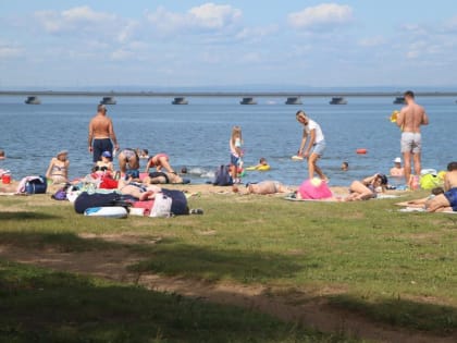 Противоядия нет: любителей моллюсков предупредили о смертельной опасности на побережье Владивостока