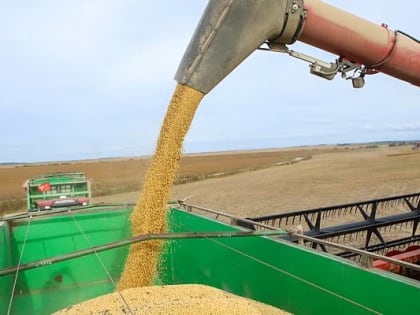 На 4% увеличат экспорт агропродукции из Приморья