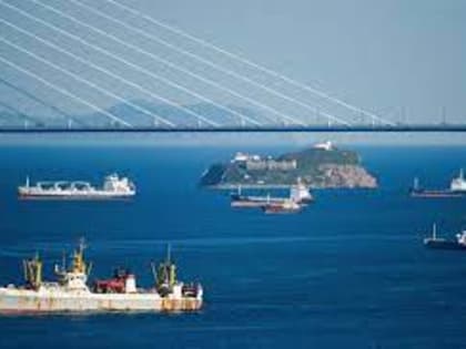 В России отреагировали на остановку транзита санкционных грузов через Турцию