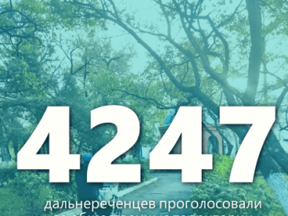 4247 дальнереченцев уже проголосовало за благоустройство территорий.