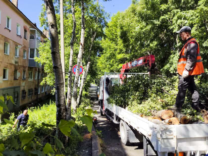 Городские службы ликвидируют последствия циклона