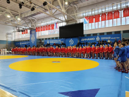 Приморские самбисты начали борьбу за путевки на первенство мира