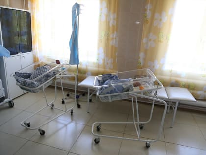 Почти 4 миллиарда рублей планируют направить на меры соцподдержки при рождении детей в Приморье