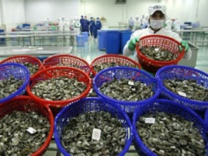 Экспорт морепродуктов из Вьетнама на небольшие рынки в январе 2023 года продемонстрировал рост