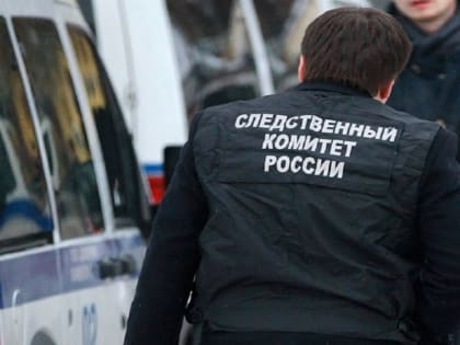 Новосибирские следователи завели уголовное дело из-за смертельного случая в детсаду