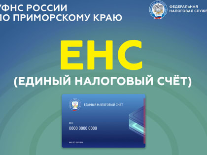 Уплата налогов: срок, реквизиты платежа
