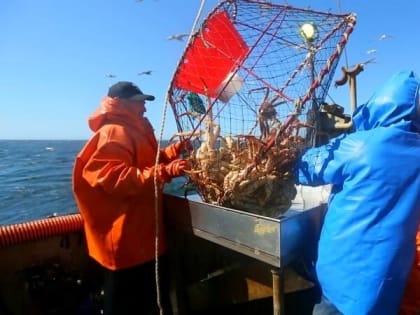 ОДУ на 2024 год: добытчики морепродуктов получили важный документ