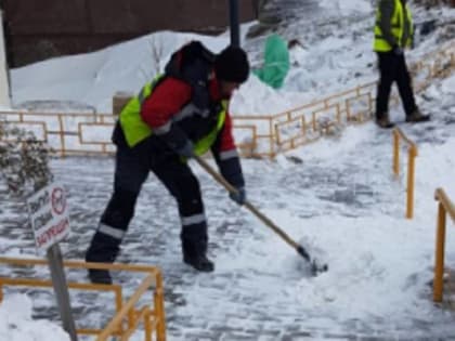 Управляющие компании и ТСЖ Владивостока вышли на уборку дворов