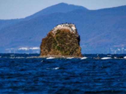 Смертность людей на воде в Приморье ниже показателей прошлых лет — МЧС