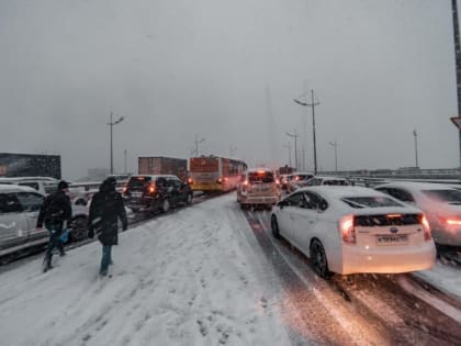 Мощный снегопад обрушится на Владивосток в особенный день. Названа дата