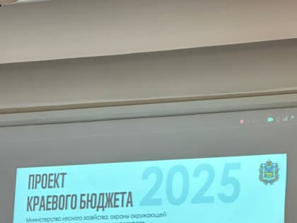 Обсуждение бюджета Приморского края на 2025-2027 годы