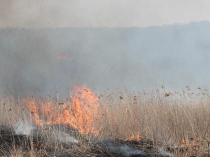 Свыше четырёх миллионов квадратных метров сгорело в Бурятии за сутки