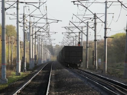 РЖД: Для ликвидации возгораний под Курганом были задействованы два поезда