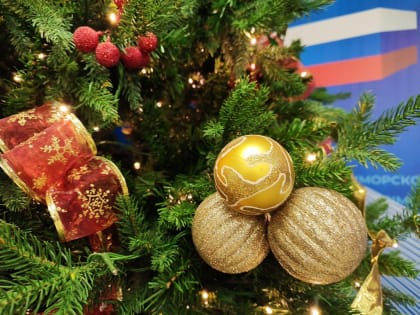 Поздравление министра спорта Приморья с Новым годом и Рождеством