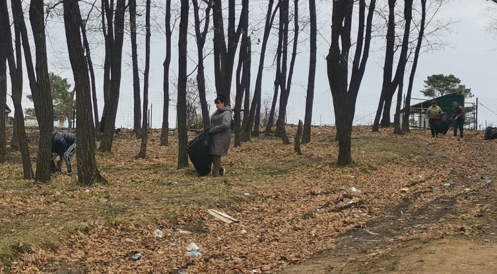 Лесозаводском городском округе