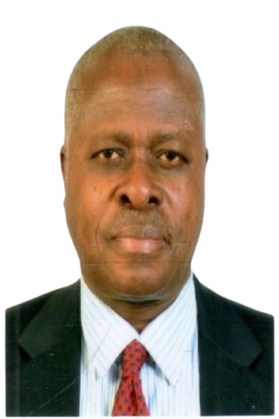 Prof. Julius O. Nyabundi