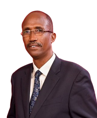 Mr. Stephen Lenyangume