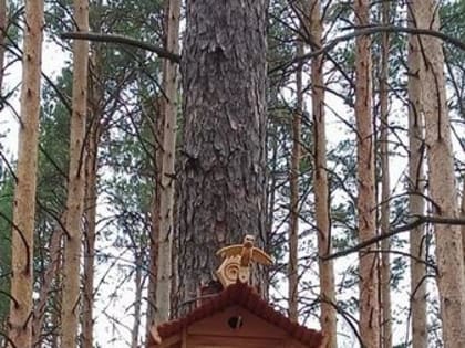 Тропа хорошего настроения  Домики для птиц будут вывешены в городском парке Победы и парке Лесокомбината